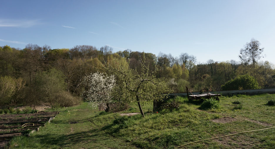 Großer Garten von Lola Randl