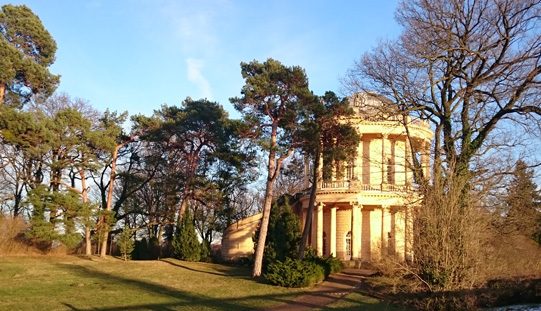 Drachen im Drachenhaus